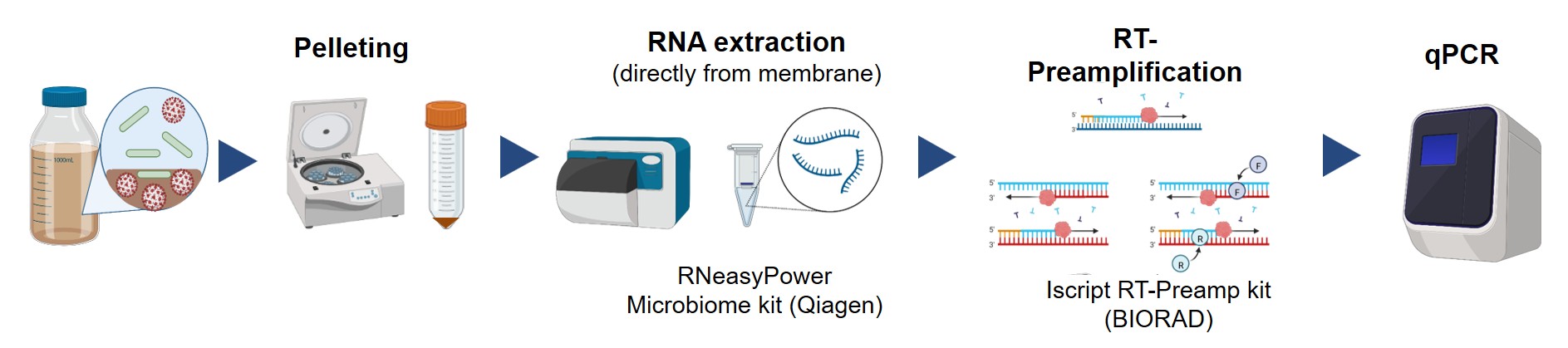 Research image_1